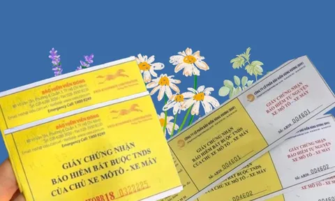 Bắt đầu 1/7/2025, người dân không bắt buộc phải mua bảo hiểm xe máy, ra đường CSGT không phạt đúng không?