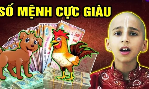 Vượt hạn Tam Tai lẫn Thái Tuế: 3 con giáp vẫn đạt đỉnh giàu sang cuối năm Ất Tỵ