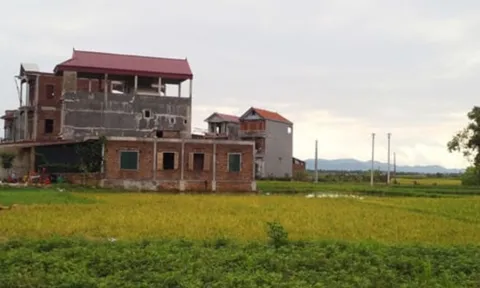Năm 2025, xây nhà trên đất nông nghiệp muốn không bị phạt: Nhất định phải có giấy này