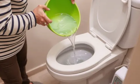 Vì sao không nên đổ nước thải vào bồn cầu để xả?