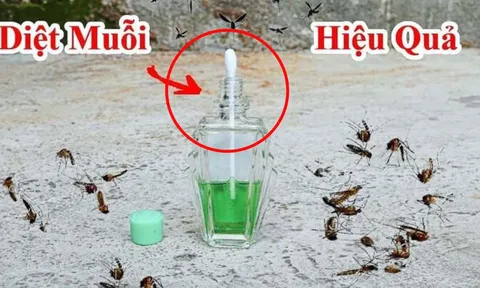 Cắm bông tăm vào lọ dầu gió: Công dụng tuyệt vời ngày nồm ẩm ai cũng thích