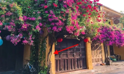 Trong nhà trồng 3 cây, 10 người thì 9 người giàu: Có 1/3 cây Phúc - Lộc tề tựu