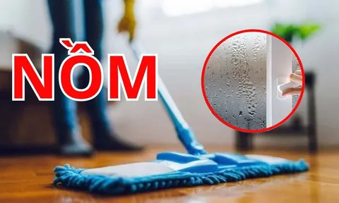 "Nhà chảy nước" càng lau càng bẩn: Làm cách này mới khô, hiệu quả tức thì