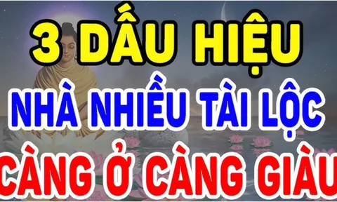 Trong nhà có 3 thứ này cãng cũ kỹ càng Hút Tài Lộc, đất chôn kho báu phong thủy: Càng ở càng giàu có