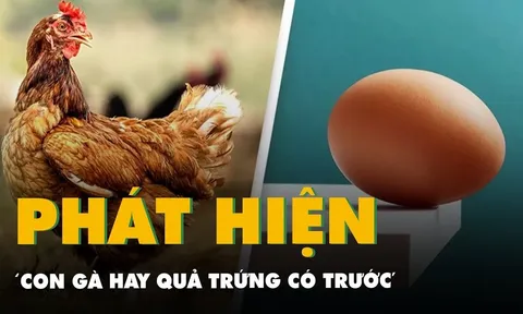 Trứng có trước hay gà có trước? Dưới đây là đáp án chính xác