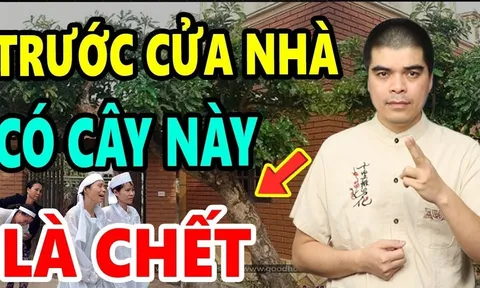 Trước nhà có 3 cây âm Tiền Bao Nhiêu Cũng Cạn: 3 cây dương Lộc Khí Bừng Bừng, cây âm, cây dương là gì?