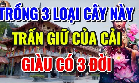 3 loại cây trấn giữ của cải, cây càng xanh tươi người càng giàu nhanh: 10 nhà giàu thì 9 nhà có trồng