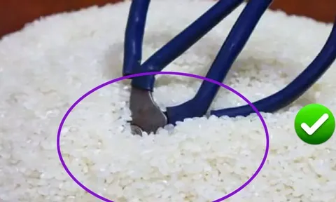 Cắm 1 cây kéo vào thùng gạo: Mẹo nhỏ mang tới nhiều lợi ích bất ngờ, ai cũng cần đến