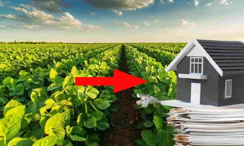 Năm 2025, chuyển đổi từ đất vườn sang đất ở hết bao nhiêu tiền?