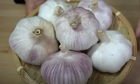 Nên mua tỏi màu tím hay tỏi màu trắng? Loại nào ngon hơn?