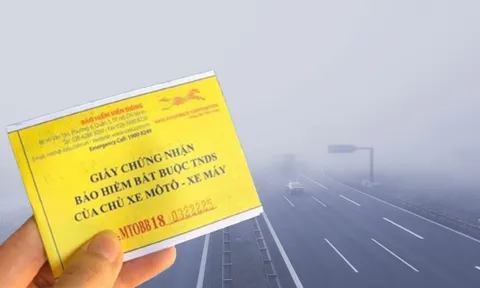 Từ 15/5/2025, người dân mua bảo hiểm xe máy 10 nghìn thay bảo hiểm xe máy bắt buộc 60 nghìn, CSGT có xử phạt?