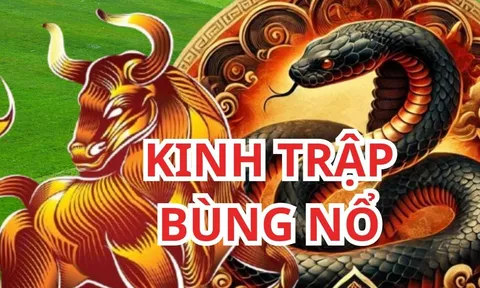 Từ nay tới 20/3: 3 tuổi gặp vận bùng nổ lộc lớn lộc nhỏ, giàu có hơn Thần tài, vàng trải khắp lối