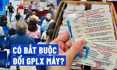 Có bắt buộc đổi giấy phép lái xe theo mẫu mới hay không?