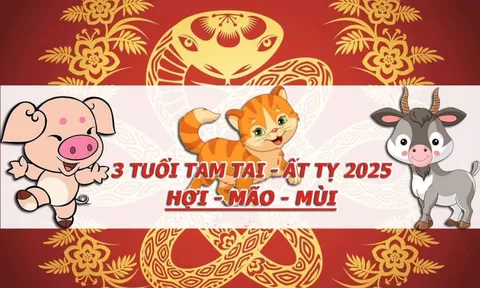 Vượt hạn Tam Tai qua cả Thái Tuế: 3 tuổi vươn đỉnh giàu sang cuối năm Ất Tỵ