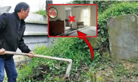 3 không trồng trước mộ, 4 không để trên giường: Tổ Tiên nói đó là cây gì, vật gì?