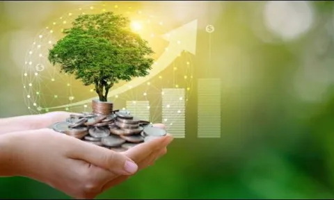 5 cấp độ của giàu có: Bạn và người thân đang ở cấp độ nào?