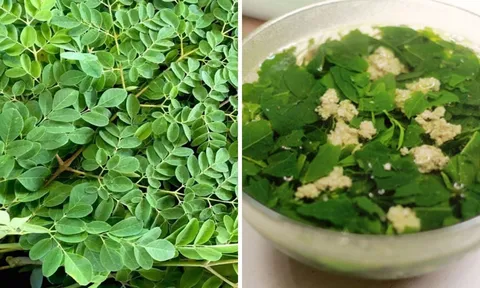 Loại rau giàu canxi gấp 4 lần sữa, vitamin C gấp 7 lần cam: Nấu canh ngon hơn rau ngót, ngoài chợ bán đầy