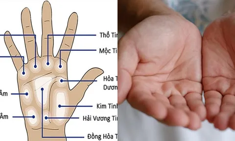 Người nào sở hữu đường chỉ tay kiểu này sẽ định sẵn số giàu sang, sống an nhàn, viên mãn