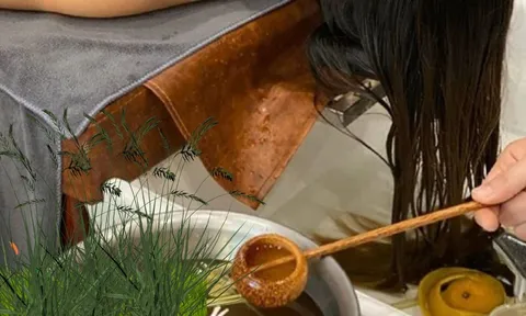 Nhanh tay cho nắm lá này vào gội đầu, tóc mượt không gàu, tóc con mọc lên tua tủa chống rụng cực hiệu quả