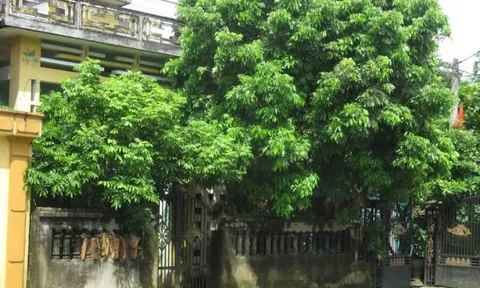 3 điều đại kỵ của ngôi nhà, khiến cho gia đạo bất an, tài lộc sa sút