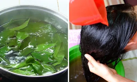 Lấy nắm lá này đun nước gội đầu, tóc con mọc lên tua tủa, xanh đen óng ả