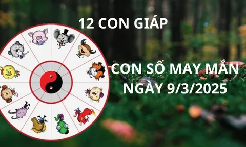 Tử vi ngày 9/3 con số may mắn số vàng mang tài lộc cho 12 con giáp, tiền đè giàu sụ