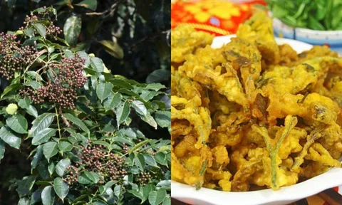 Lá bờ bụi ngày xưa giờ thành đặc sản 'đắt hàng' 100.000 đồng/kg, hương vị lạ khiến dân thành phố săn lùng