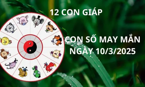 Tử vi ngày 10/3 con số may mắn Thần tài ban lộc, 12 con giáp nhanh chân gặp thời giàu sang bất ngờ