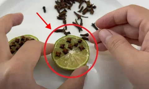 Cắm thứ này vào quả chanh rồi đặt góc phòng, muỗi nhiều như ong cũng bỏ đi hết