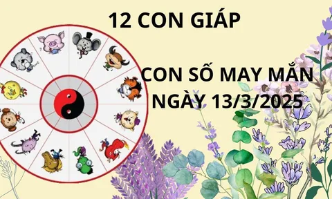 Tử vi ngày 13/3 con số may mắn trời xanh an bài, 12 con giáp nhanh chân nhặt vàng hứng bạc, giàu ú ụ