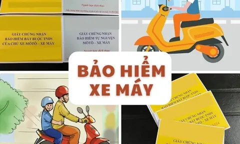 Bỏ tiền mua bảo hiểm xe máy bắt buộc: Nhưng phạm 8 điều này, người dân vẫn không được đền bù khi tai nạn