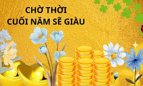 Đại vận như nước lên, 3 cung hoàng đạo cuối năm càng giàu, trả sạch nợ, ung dung tận hưởng tình tiền tề tựu