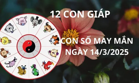 Tử vi ngày 14/3 con số may mắn Thần tài ban lộc cho 12 con giáp gặp thời đổi vận giàu sang