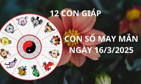 Tử vi ngày 16/3 con số may mắn cho 12 con giáp được thời hốt vàng nhặt bạc nhà trời về nhà