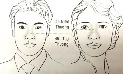 Nhìn nét tướng trên khuôn mặt, đoán vận số của những người ở độ tuổi từ 41-45