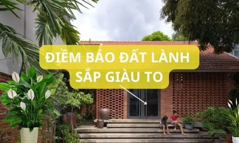 Tổ tiên căn dặn: Bỗng dưng vị khách này tới nhà thì đừng khó chịu, gia đình sắp giàu to, nghênh đón chu đáo