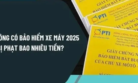 Lỗi không có bảo hiểm xe máy 2025 bị phạt bao nhiêu tiền? Phí bảo hiểm xe máy năm 2025 là bao nhiêu?