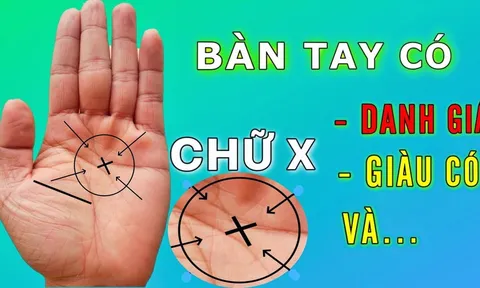 Thế giới chỉ có 3% người có đường chỉ tay cực phẩm này, không kiệt xuất cũng là lãnh đạo tài ba