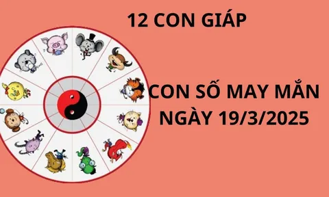 Tử vi ngày 19/3 con số may mắn cho 12 con giáp nhận lộc Thánh Cô, giàu sang đổi đời