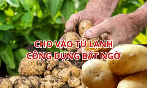 Khoai tây luộc xong cho vào tủ lạnh, công dụng bất ngờ cho sức khỏe, nhiều người sẽ tiếc giá như biết sớm hơn