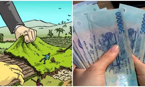 Năm 2025: 5 trường hợp bị thu hồi đất nông nghiệp những không được đền bù, đó là trường hợp nào?