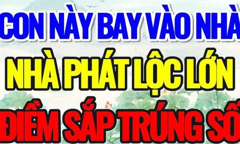 3 loài vật đệ tử Thần Tài: Bước vào nhà đó nhà đó cực kỳ giàu có, đó là loài vật gì?