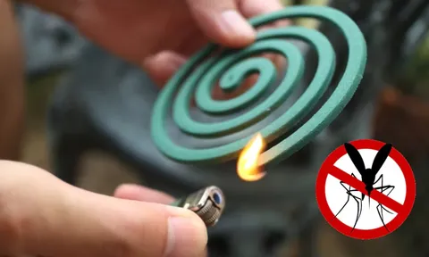 5 mẹo đuổi muỗi bằng nguyên liệu tự nhiên, không cần sử dụng đến hương muỗi