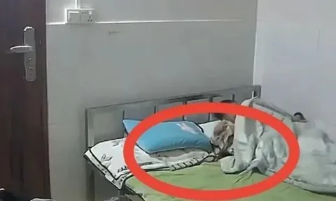 Mẹ bận việc để con trai lớn chăm em, xem camera liền bật khóc khi thấy cảnh tượng trên giường ngủ