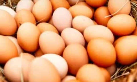 Khi ăn trứng, đừng ăn cùng 6 loại thực phẩm này kẻo rước bệnh vào thân