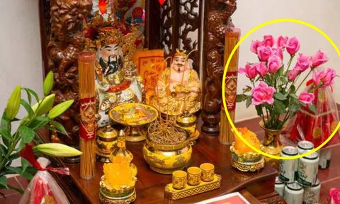 Mùng 1/3 âm lịch, đặt lên bàn thờ 5 loại hoa này để đánh thức tài lộc, cả tháng may mắn