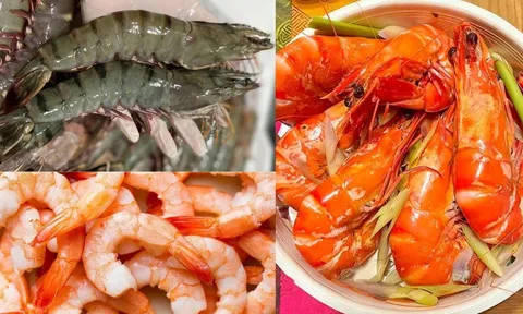 Thịt tôm hay vỏ tôm giàu canxi?