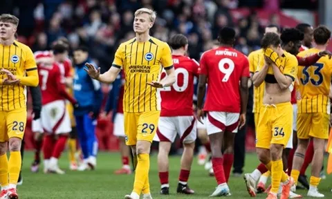 Ngọn lửa ''phục sinh'' Brighton