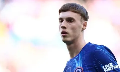 "Tôi biết rõ Palmer là một fan bự của Man United"