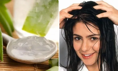 Lấy loại lá này bôi lên đầu: Tóc con mọc tua tủa, lại sạch gàu, khỏe mạnh, Việt Nam có rất nhiều